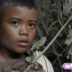 A small boy stares at something startling while crouched among jungle foliage.